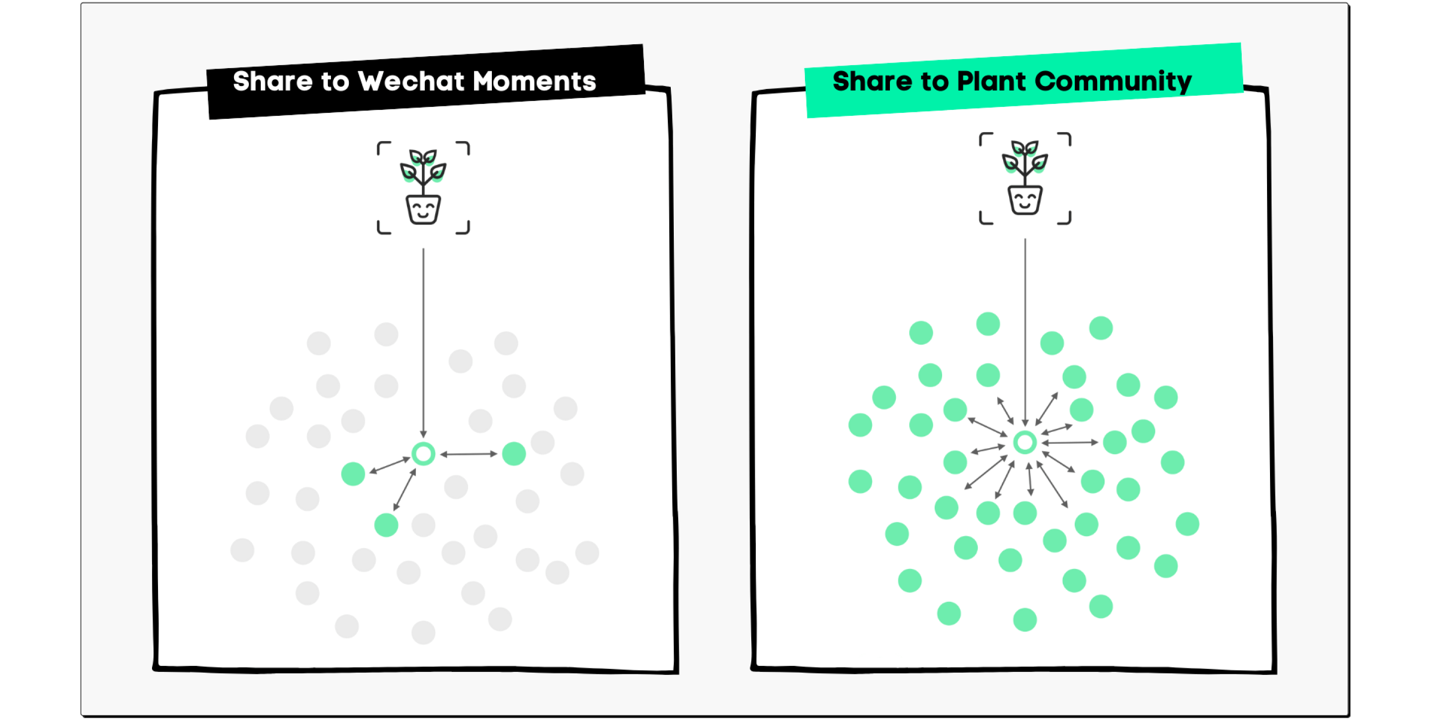 plant-design-thinking-share