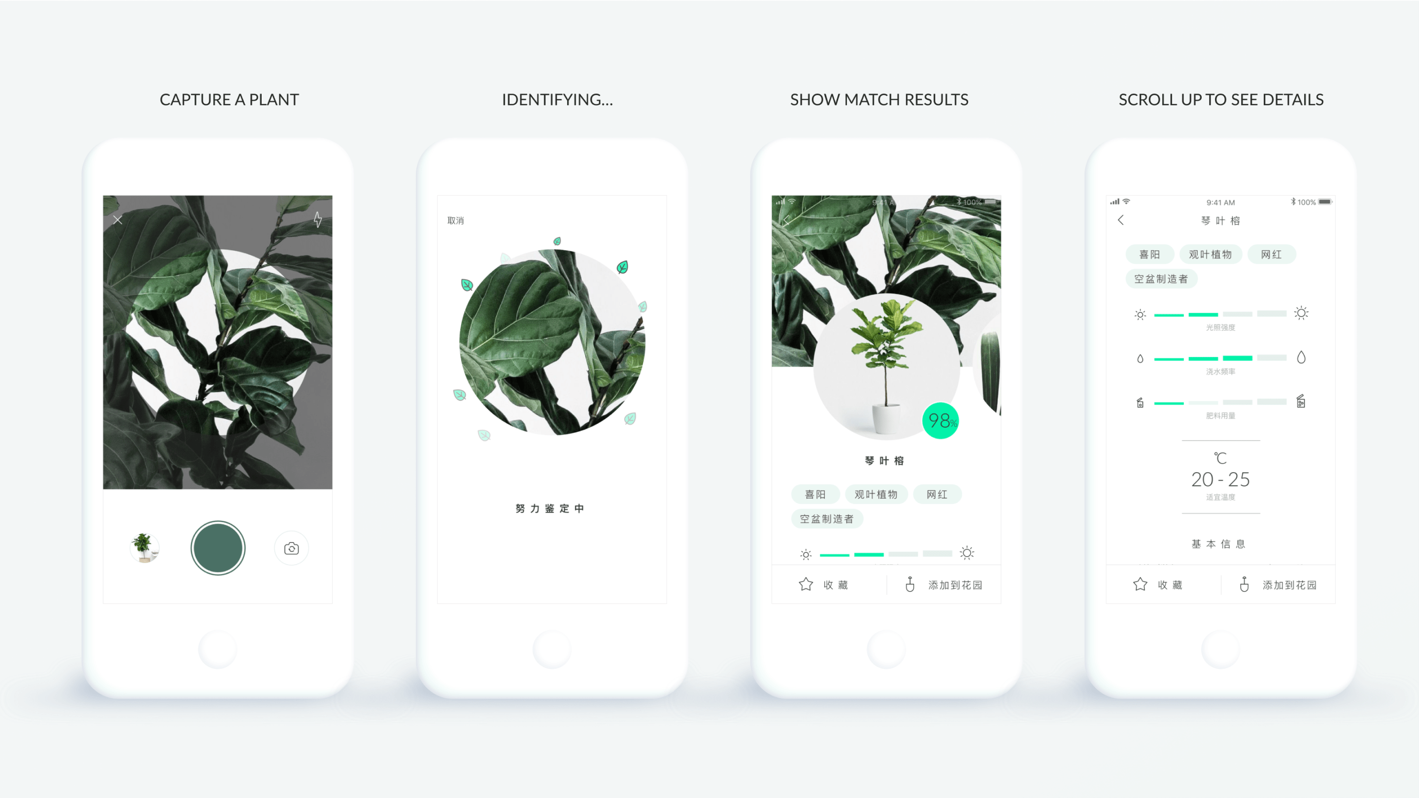 plant-new-visual-design-2