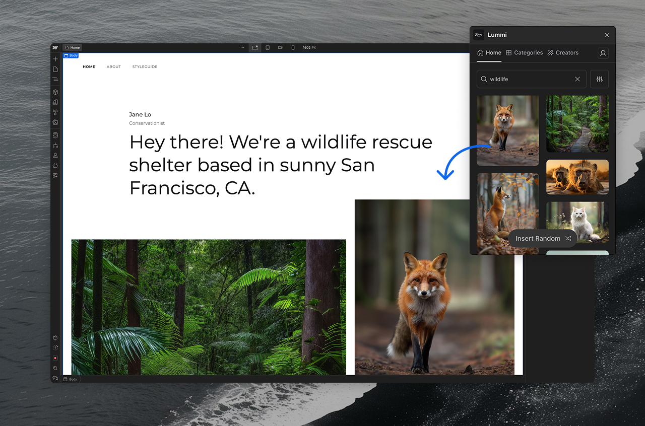 Lummi webflow plugin - Filters