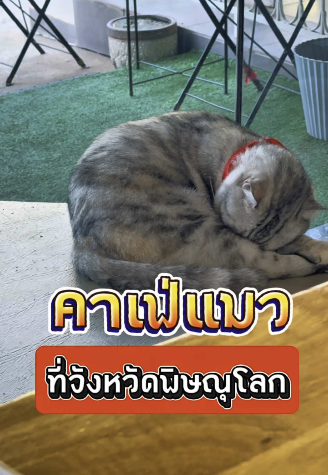 ออกแบบกราฟิก เครื่องสำอาง, TFD