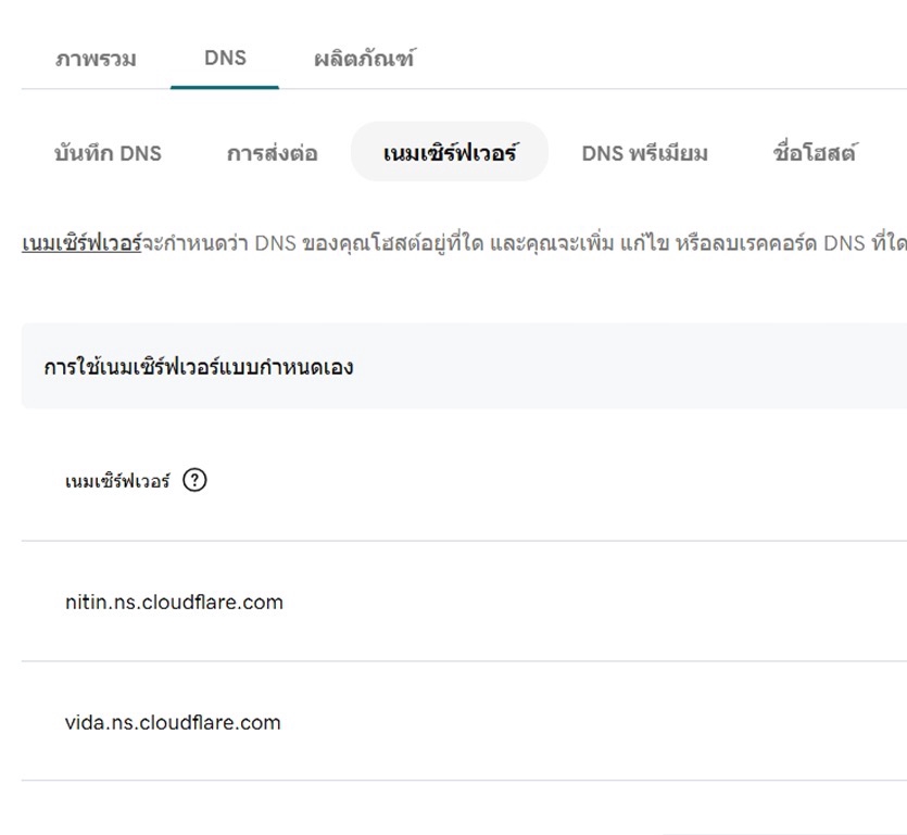 Godaddy Domain, TFD