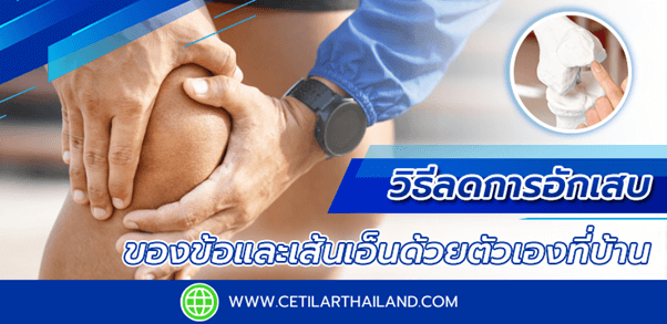 ออกแบบกราฟิก อาหาร, TFD