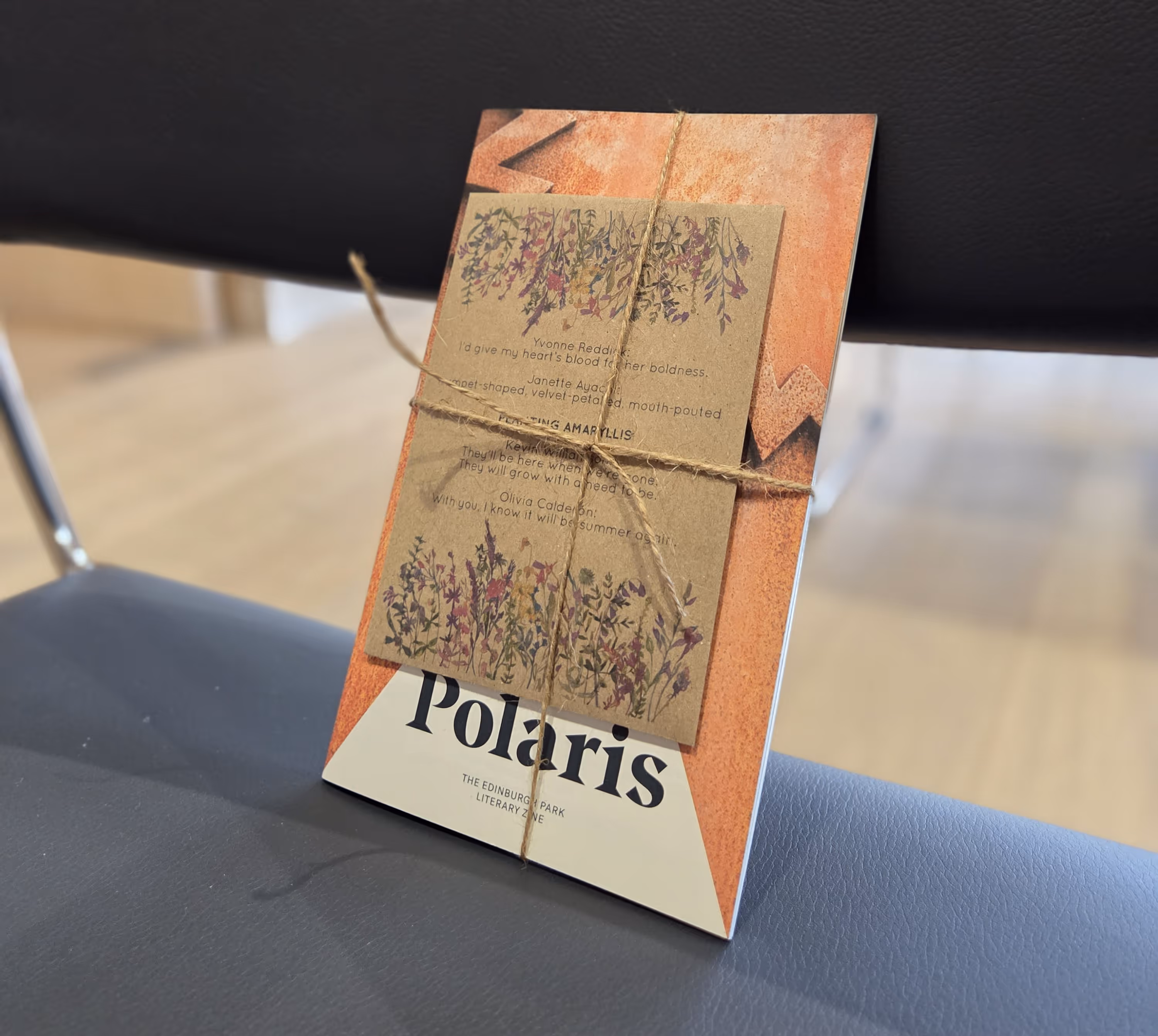 edinburgh-park-poetry-zine-polaris