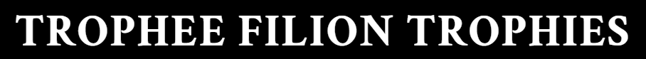 Logo Partenaire Publicitaire