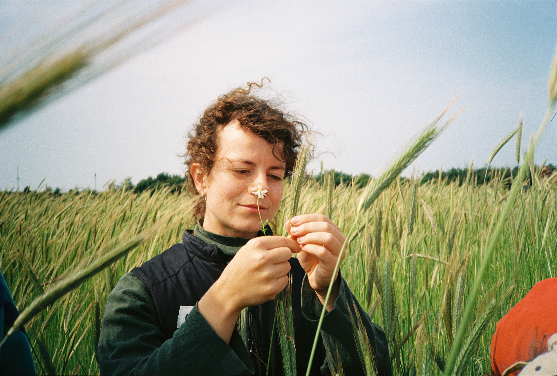 The green traineeship Bodemkracht