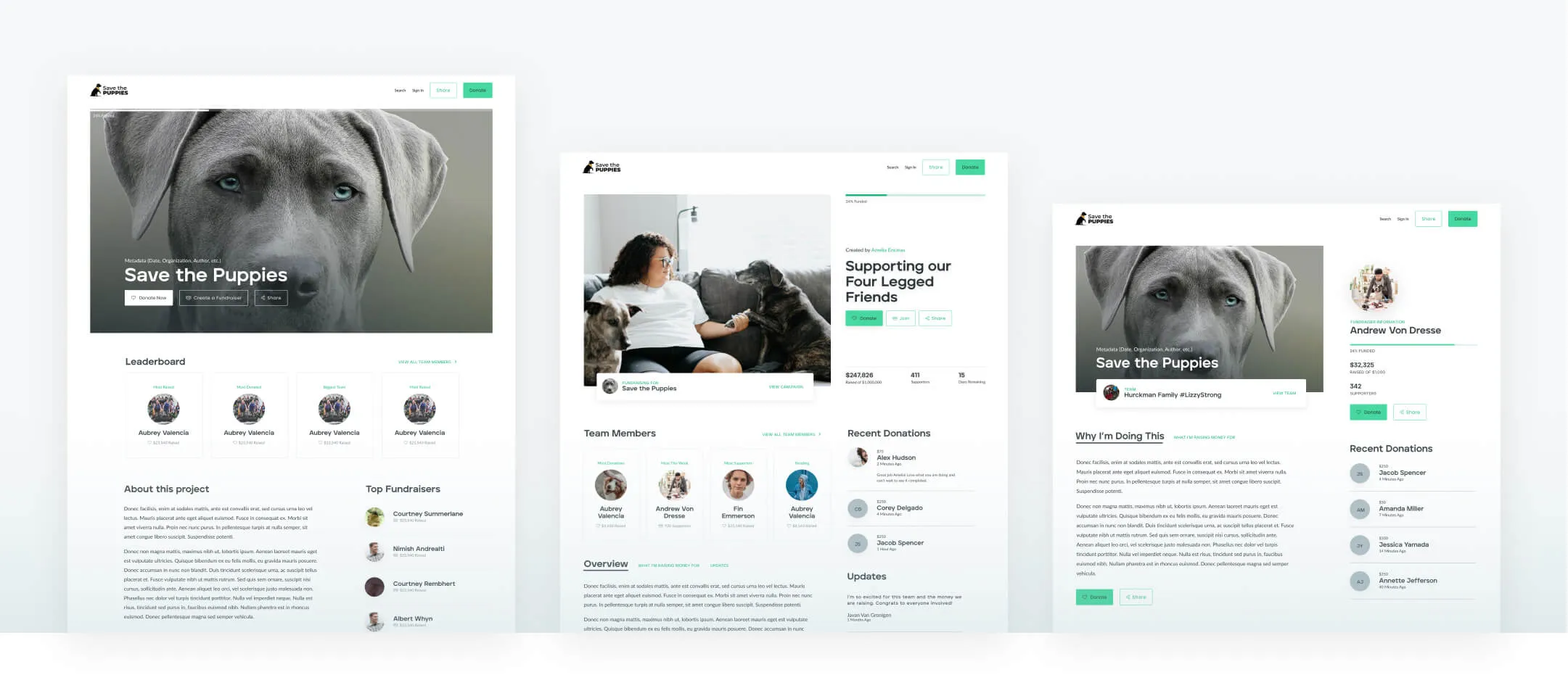 Customizable Donately campaign pages showing general pages, peer to peer pages, and team fundraising functionality.