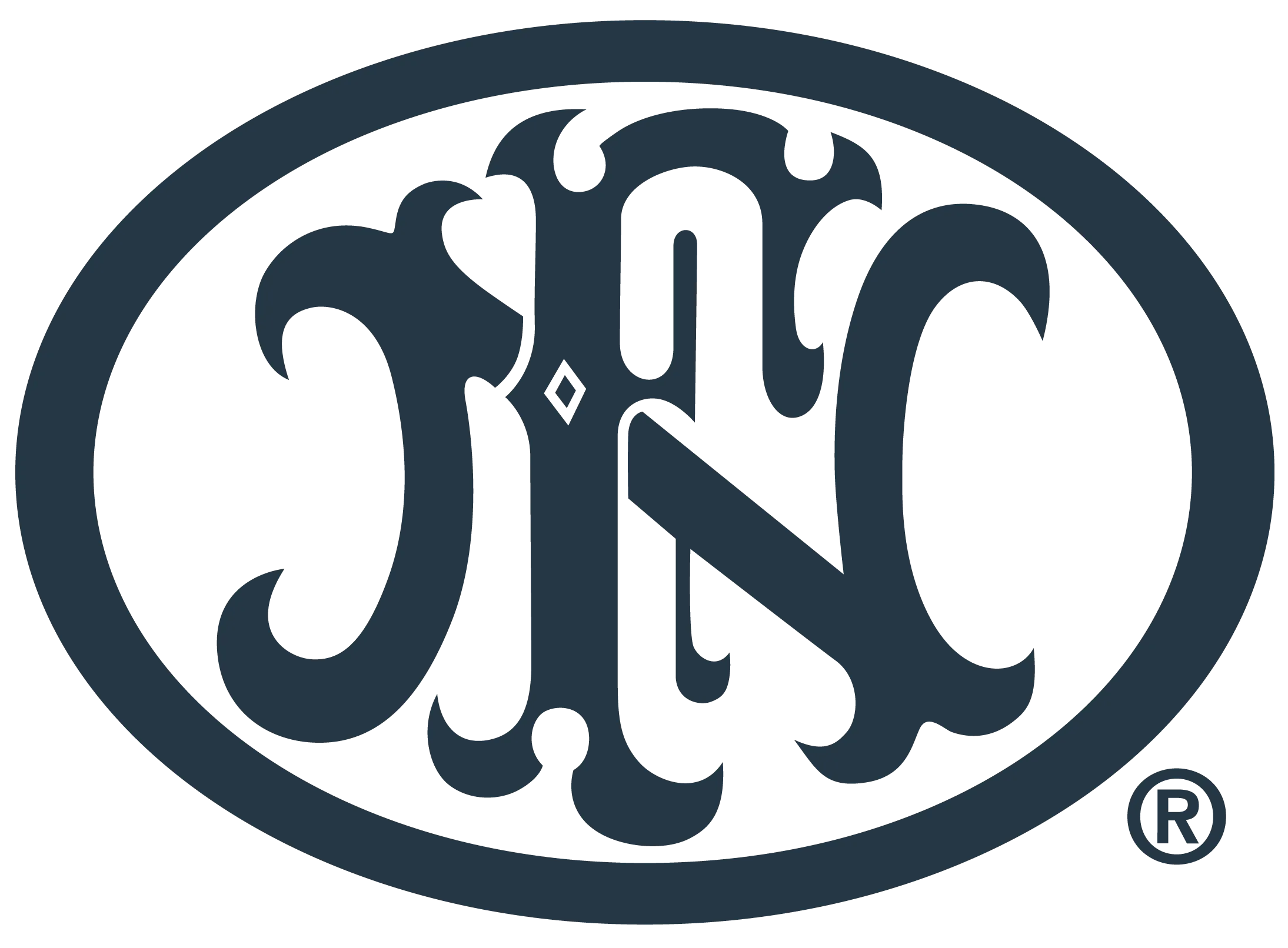 FN logo