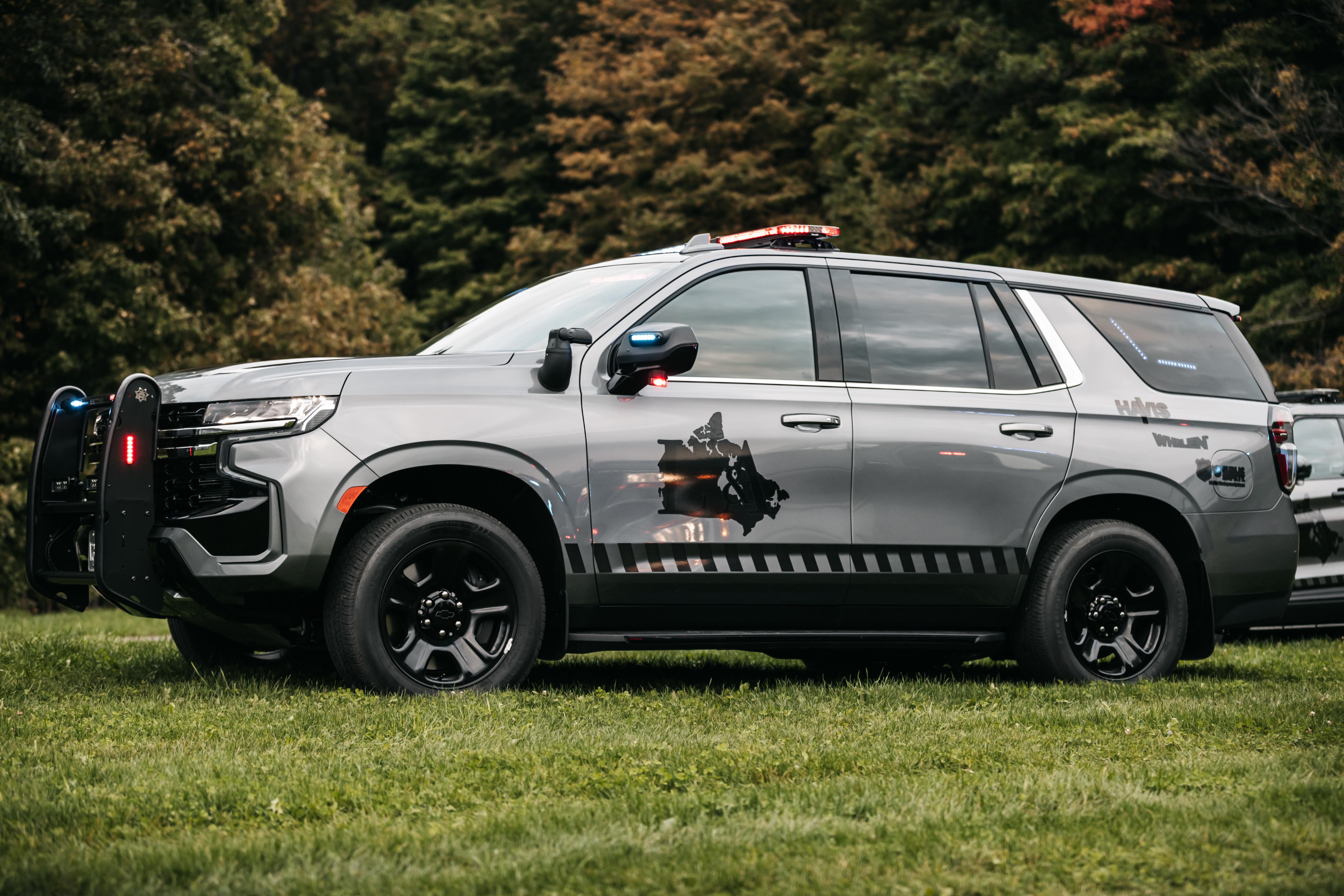 vehicle model