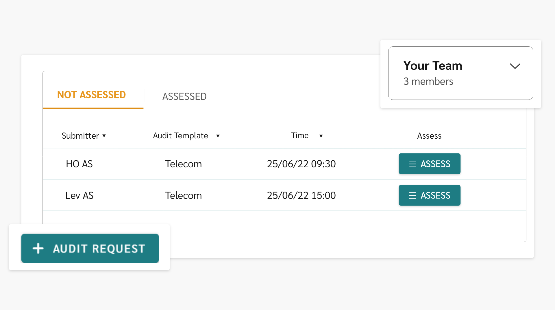 A form with assessed and not assessed suppliers, a audit request button and team overview.