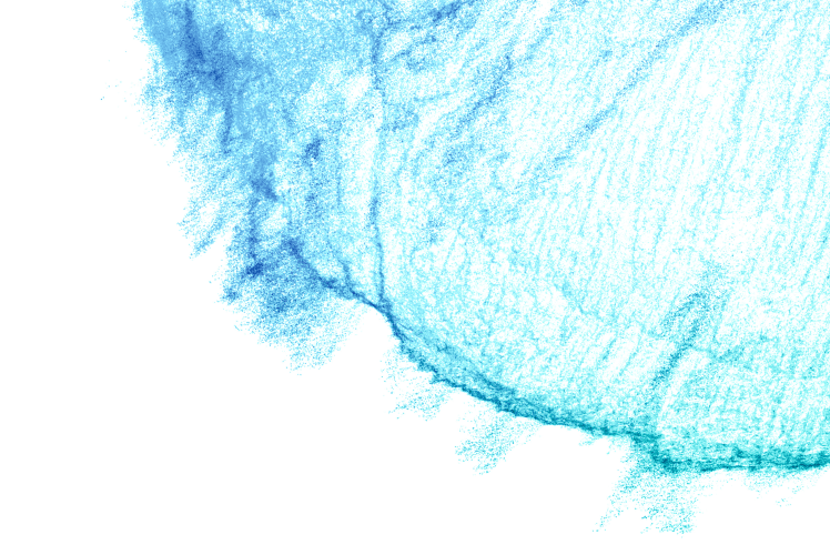 DeciBio Case Study Preview