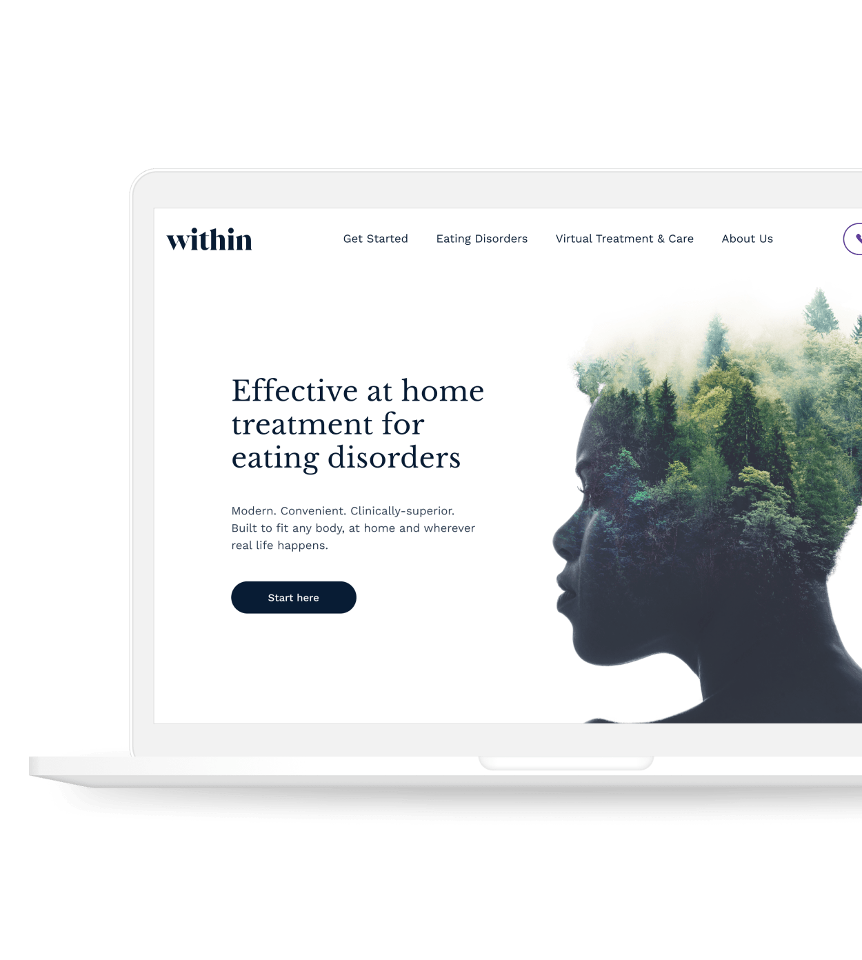 Within website mockup