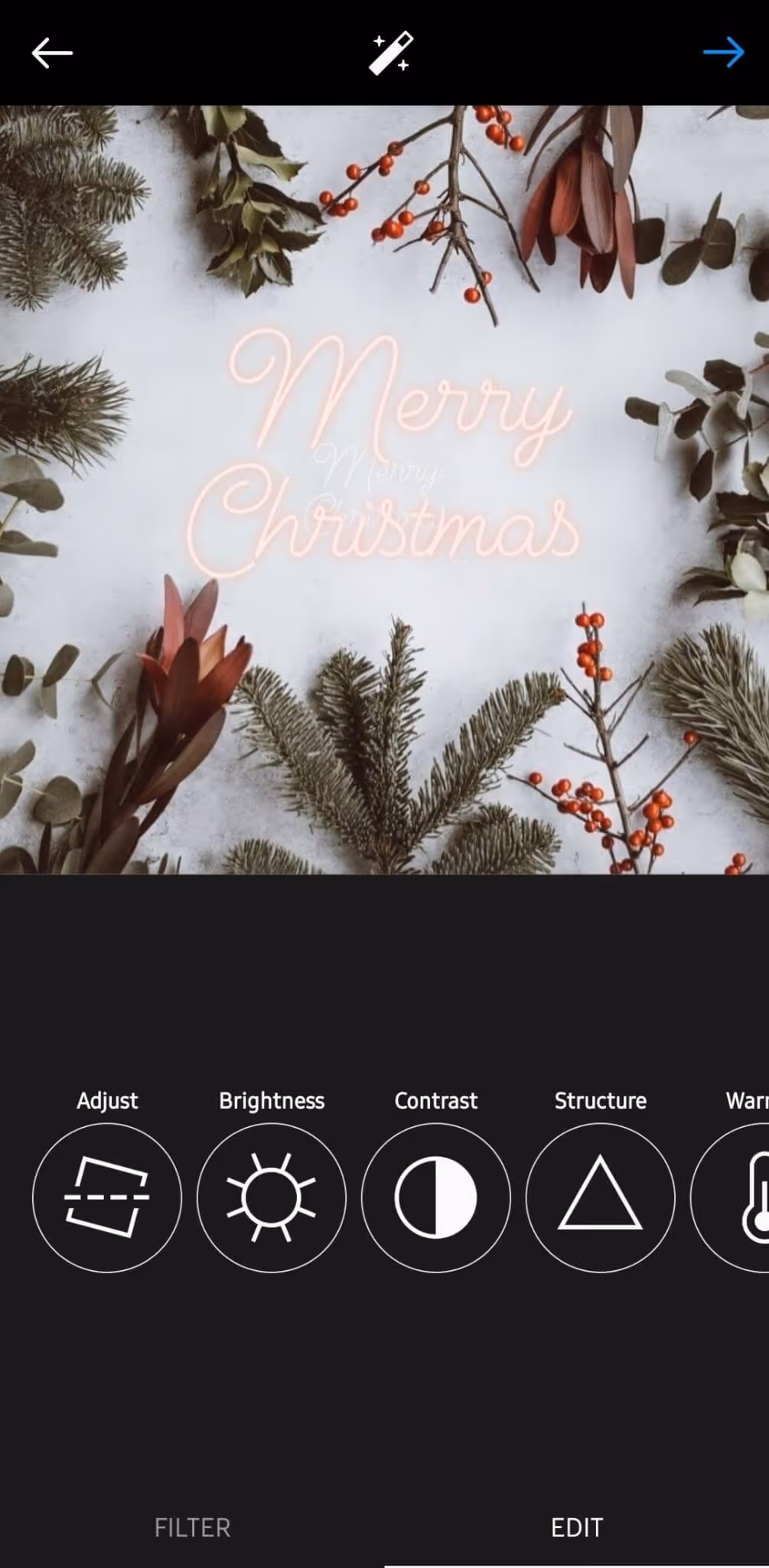 screenshot of a picture being edited on the phone that says "Merry Christmas"