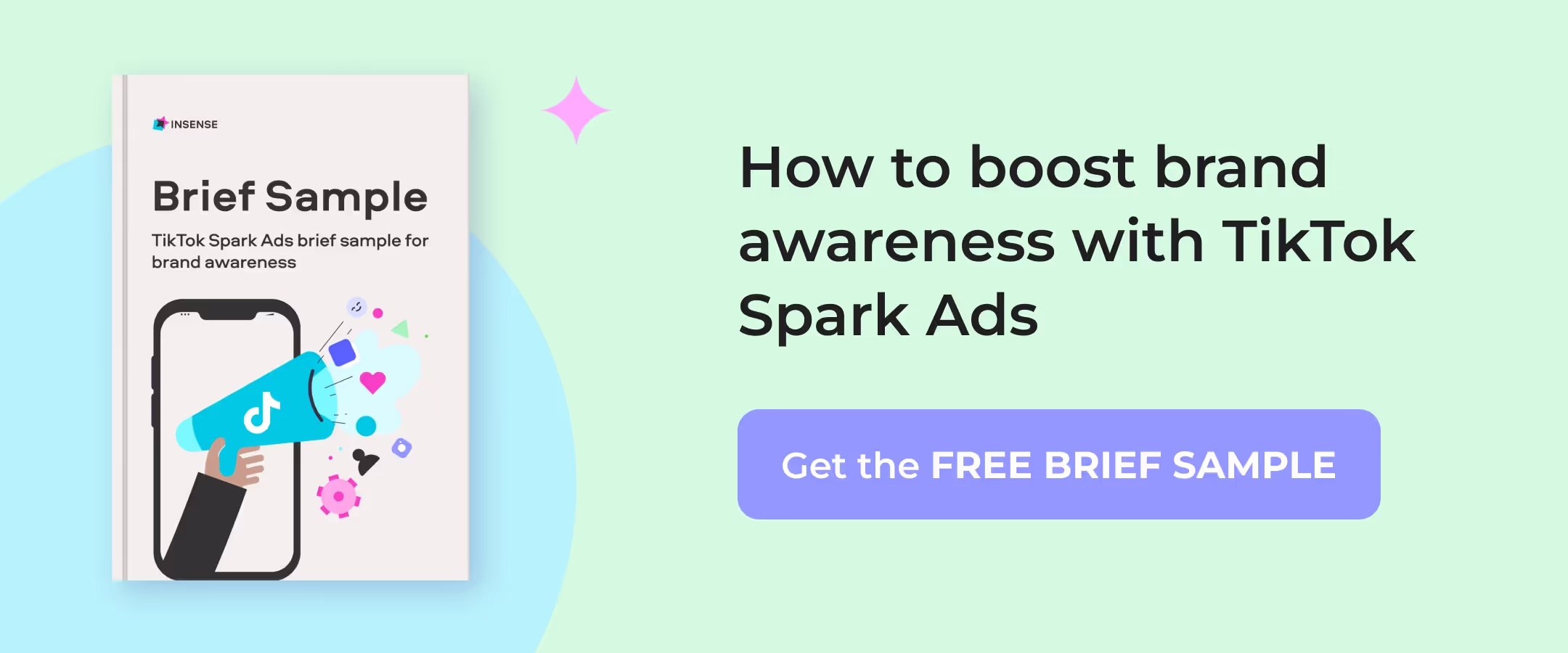 TikTok Spark Ads brief sample for brand awareness