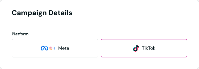platform section on brief