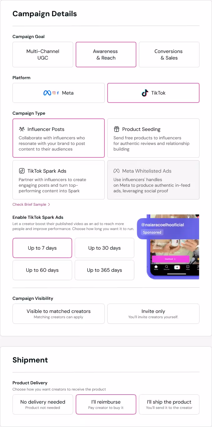 Influencer post campaign brief on Insense