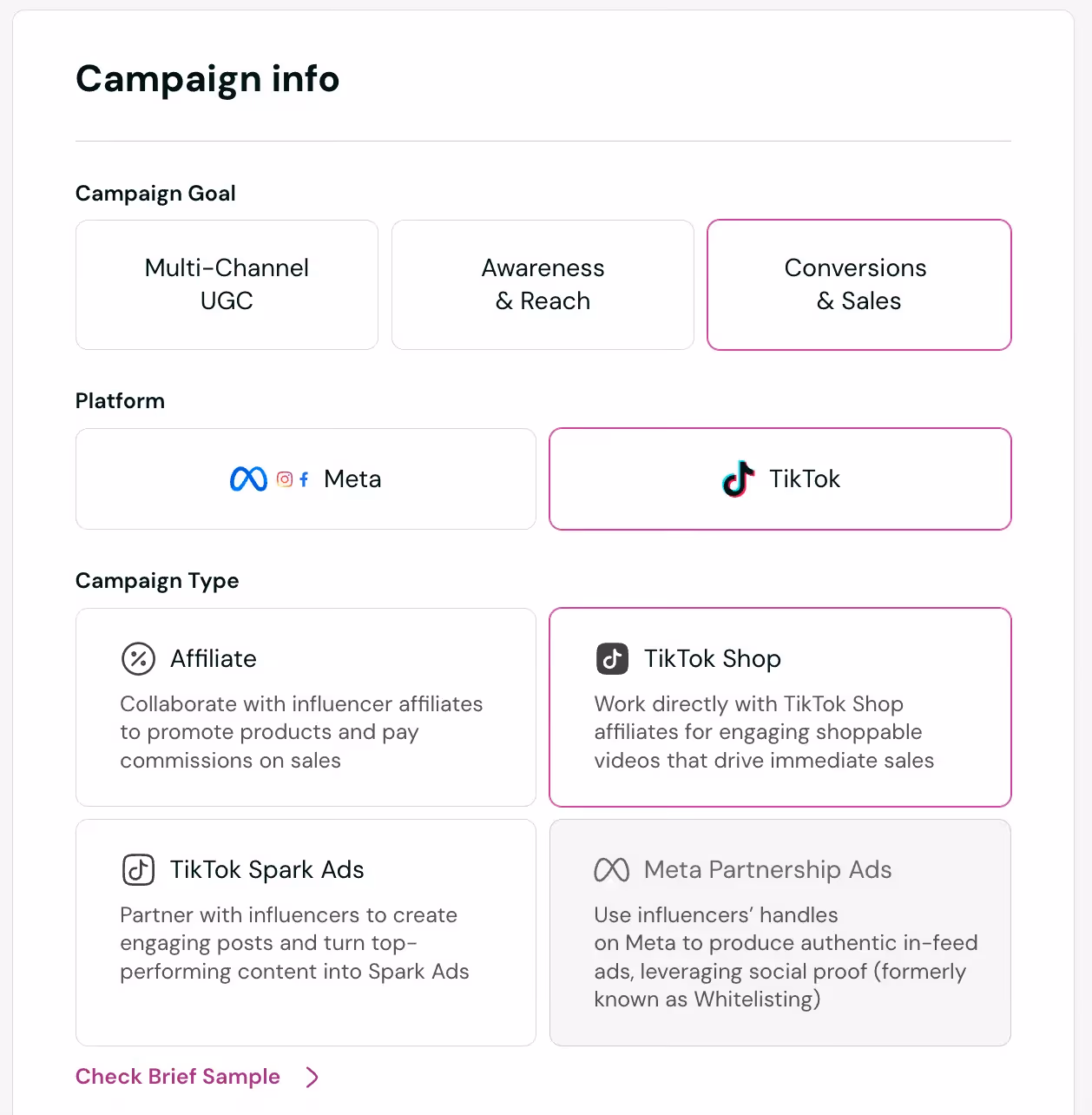TikTok Shop as the campaign goal on Insense