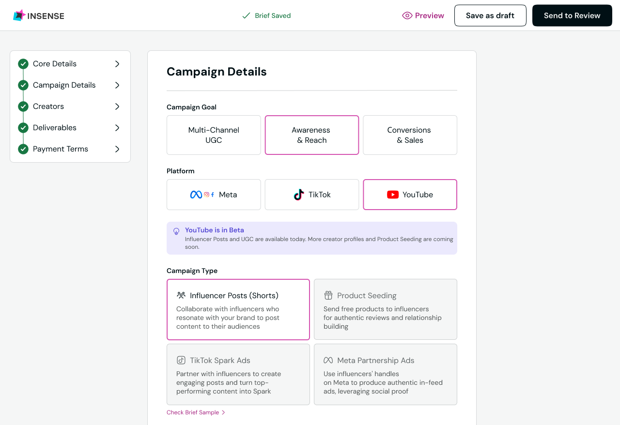 Campaign details in Insense brief builder