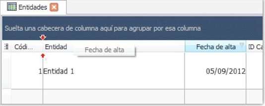 formatos de vista