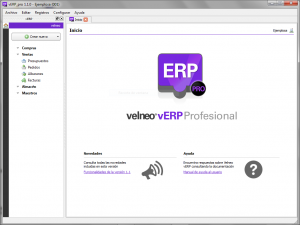 vERP_pro_principal