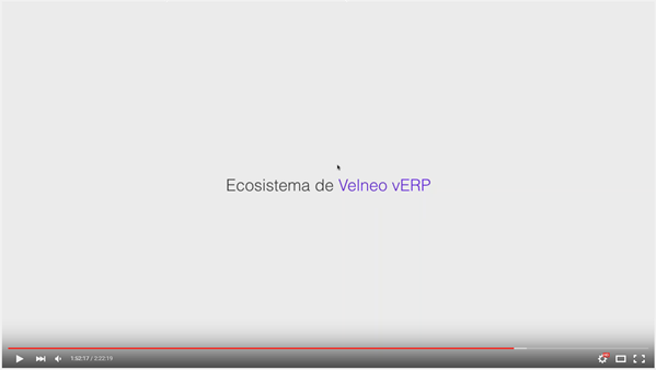 velneo erp 4