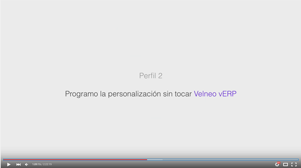 perfil-2-erp