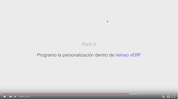 perfil-3-erp