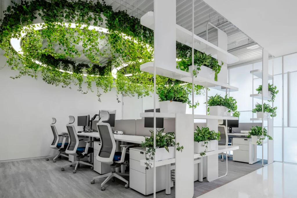 Plantes Feng Shui Bureau : 12 Espèces pour Énergie et Prospérité