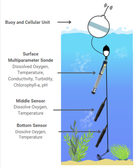 Diagram showing LakeTech buoy system with surface sonde and multi-depth sensors