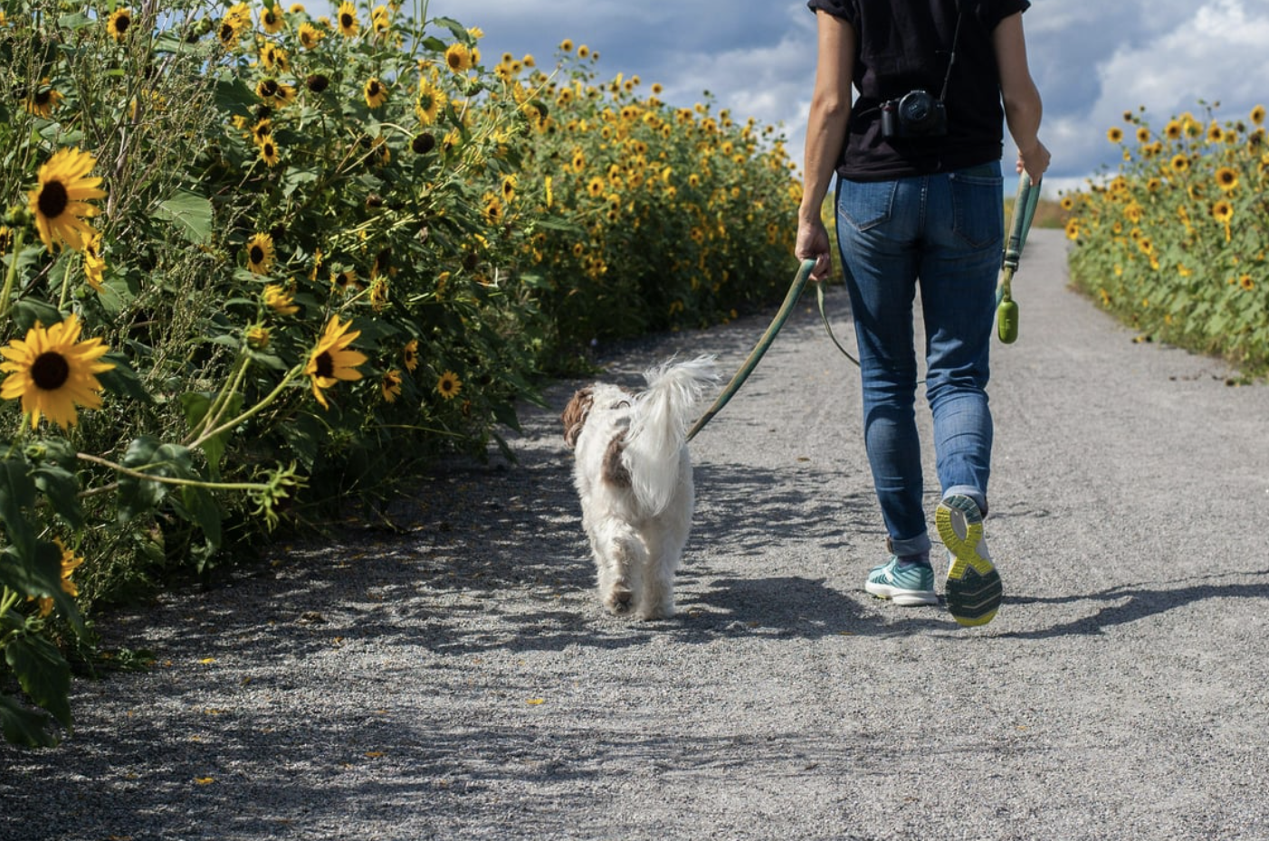 The 10,000 Step Myth – and How Much Walking You Really Need