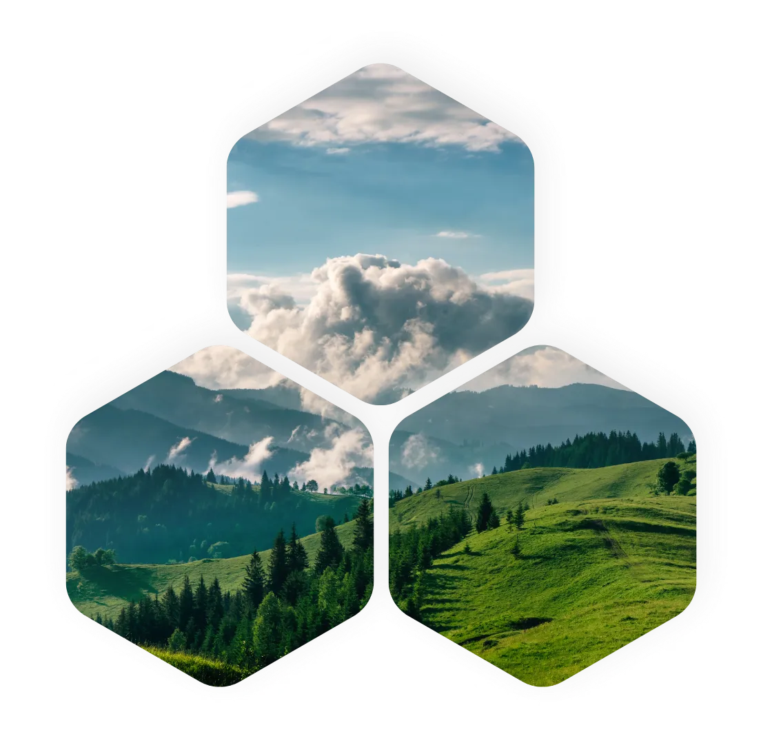 Hexagon