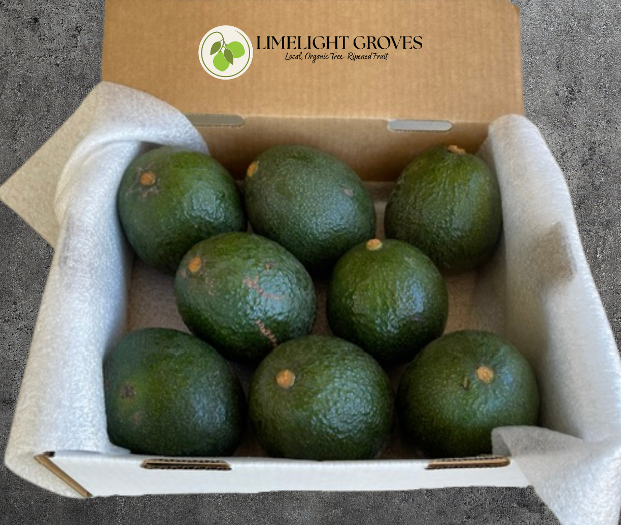 Reed Avocados