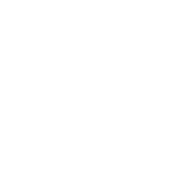 Ayla logo