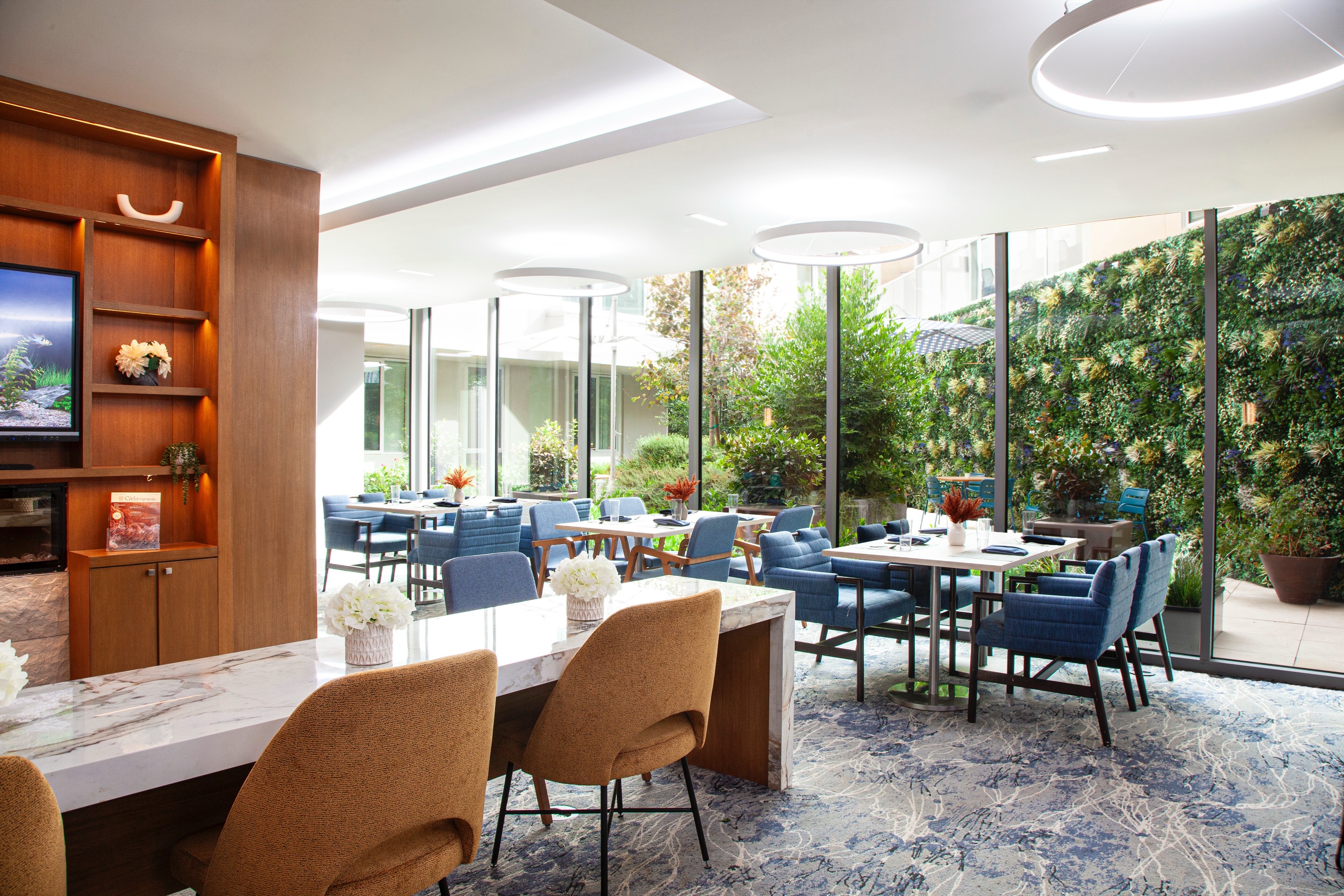 Bright dining area with blue chairs and a green living wall.