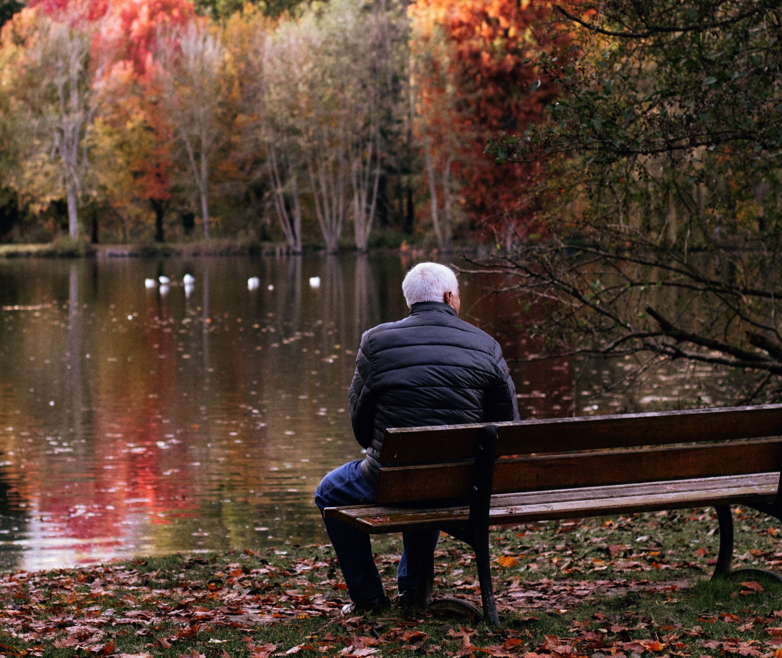 senior on a bench enjoying the seasons
