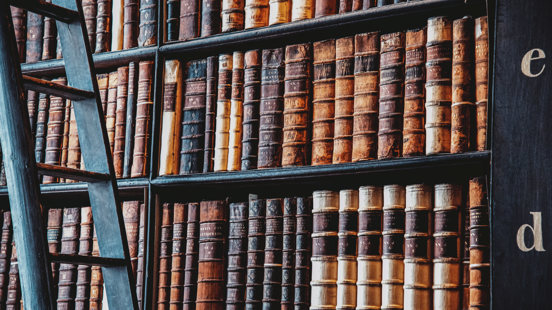 Books in a bookshelf