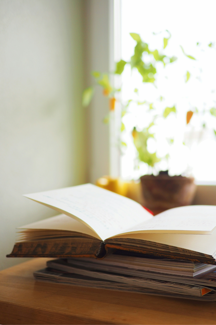 A photo of some books.