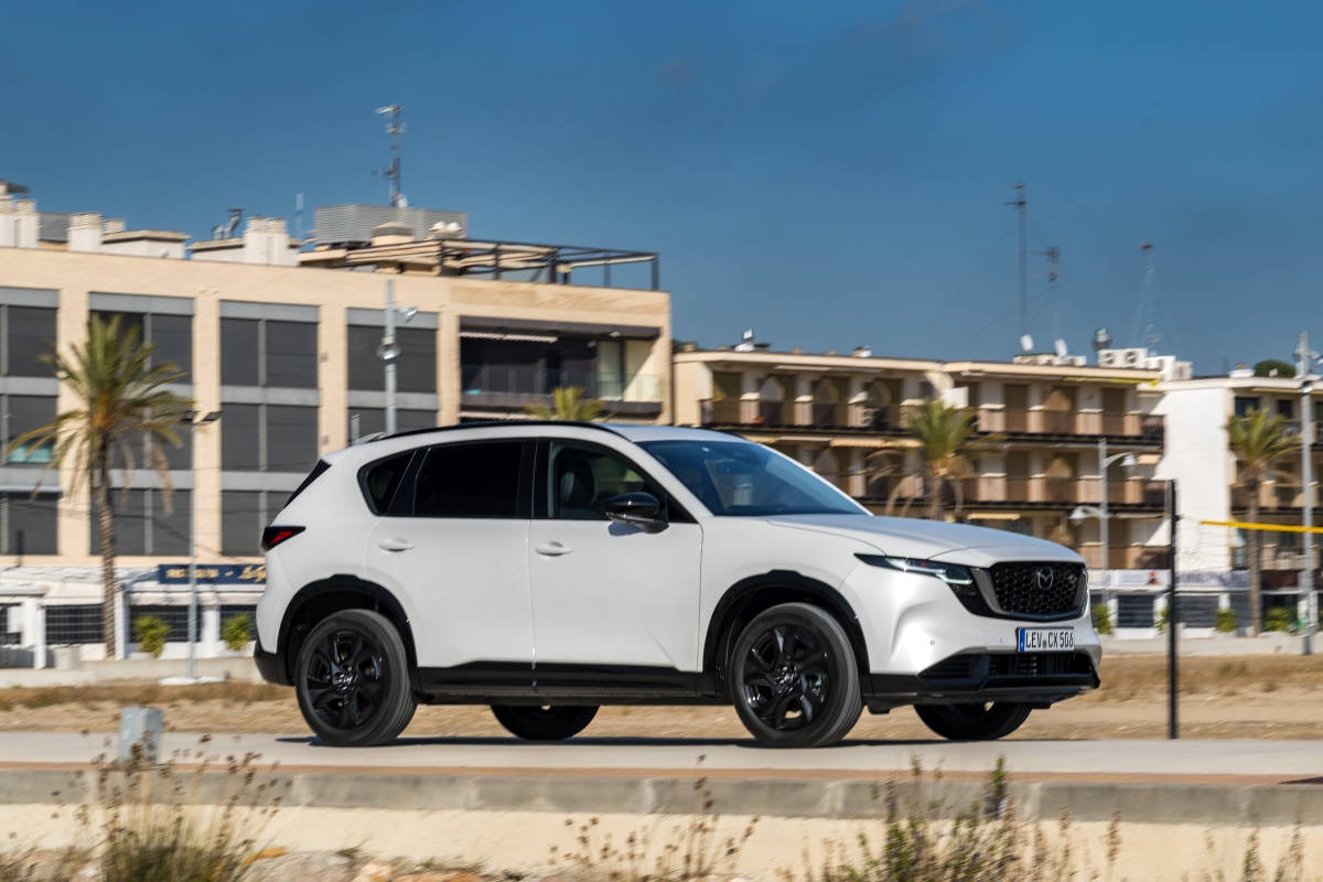 Beliebt und erfolgreich