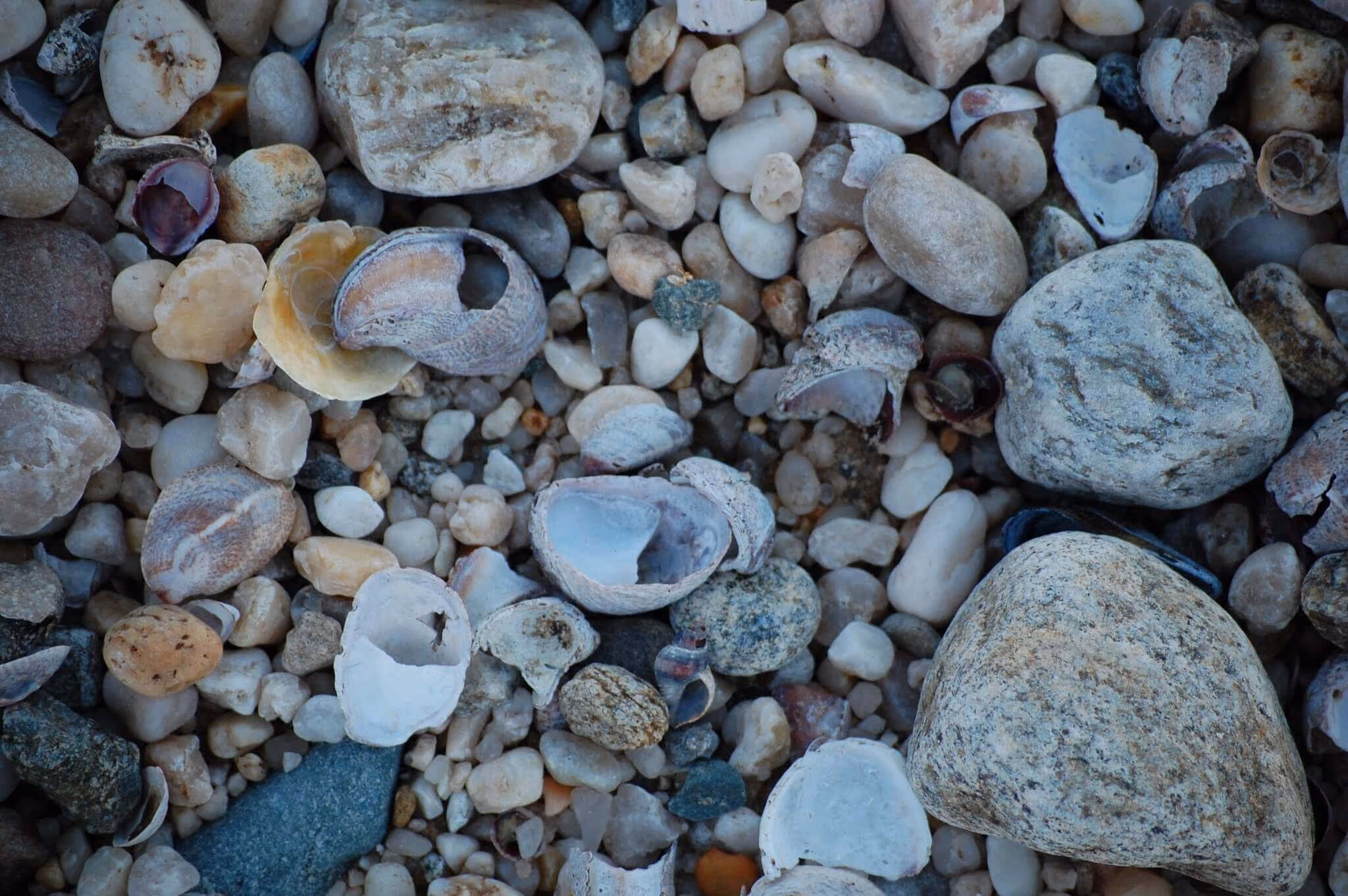 close up of beach stones