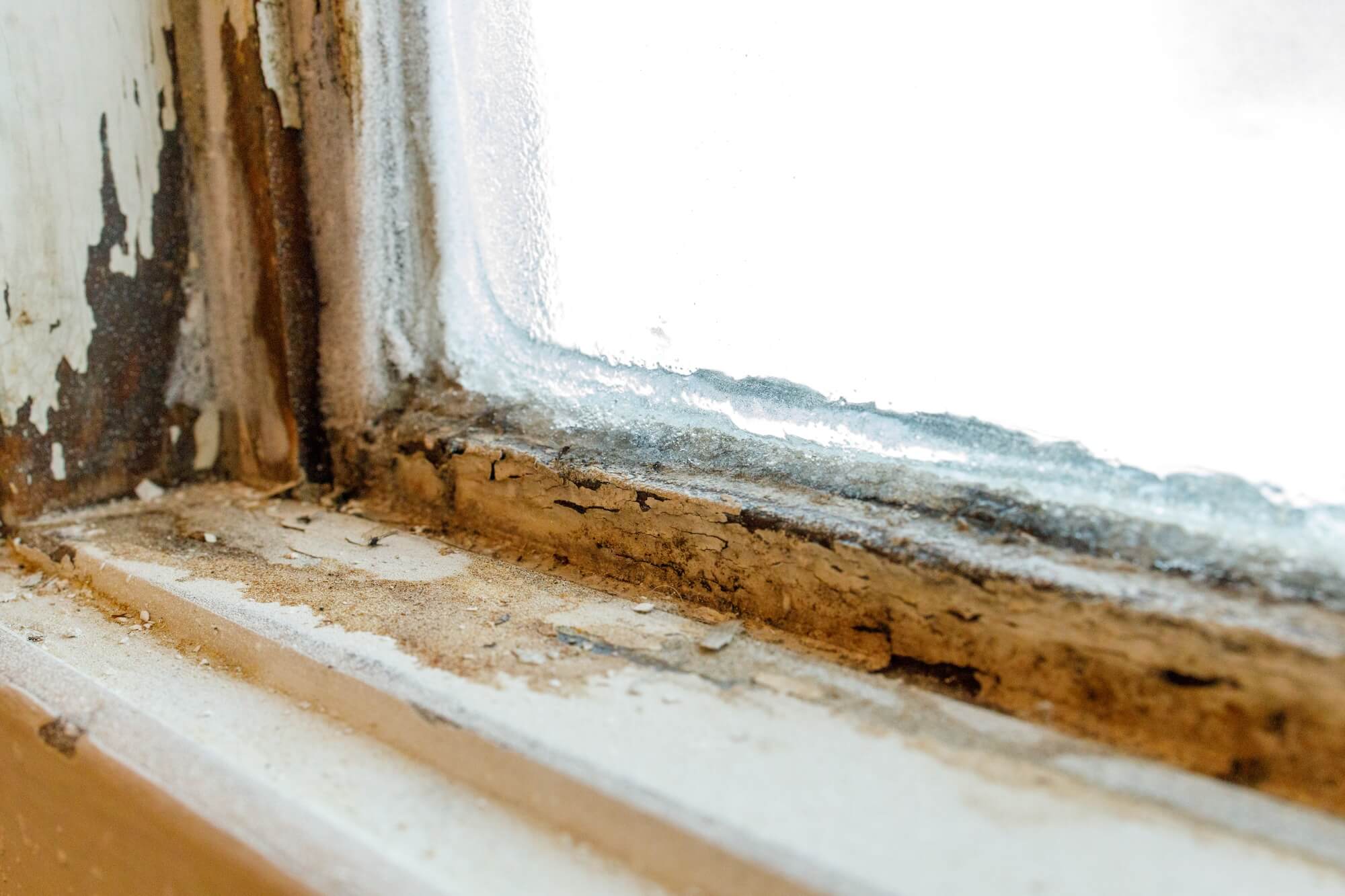 Schäden an den Fenstern können die Belüftung und die Lebensdauer der Fenster beeinflussen.