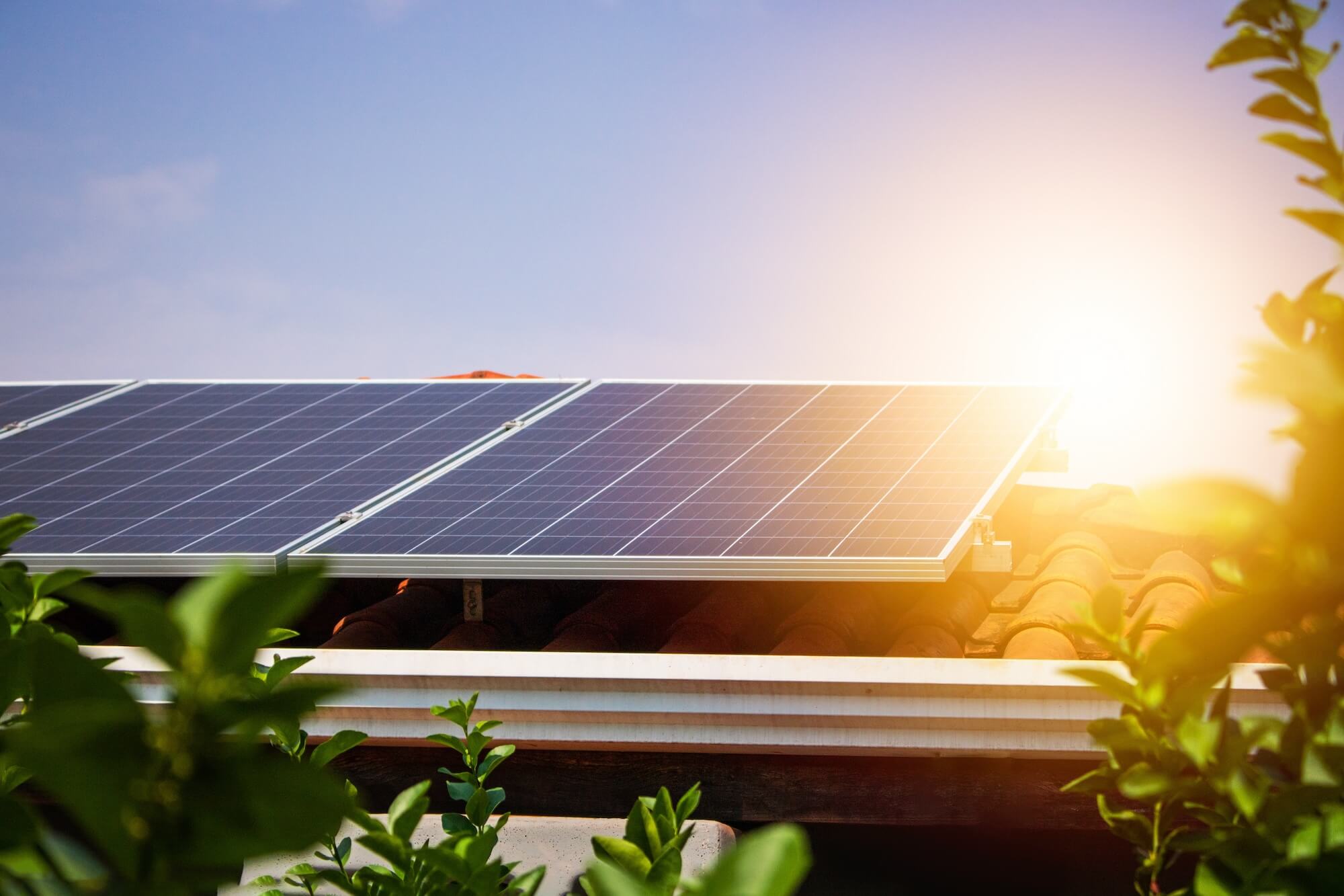PV-Module auf Dach