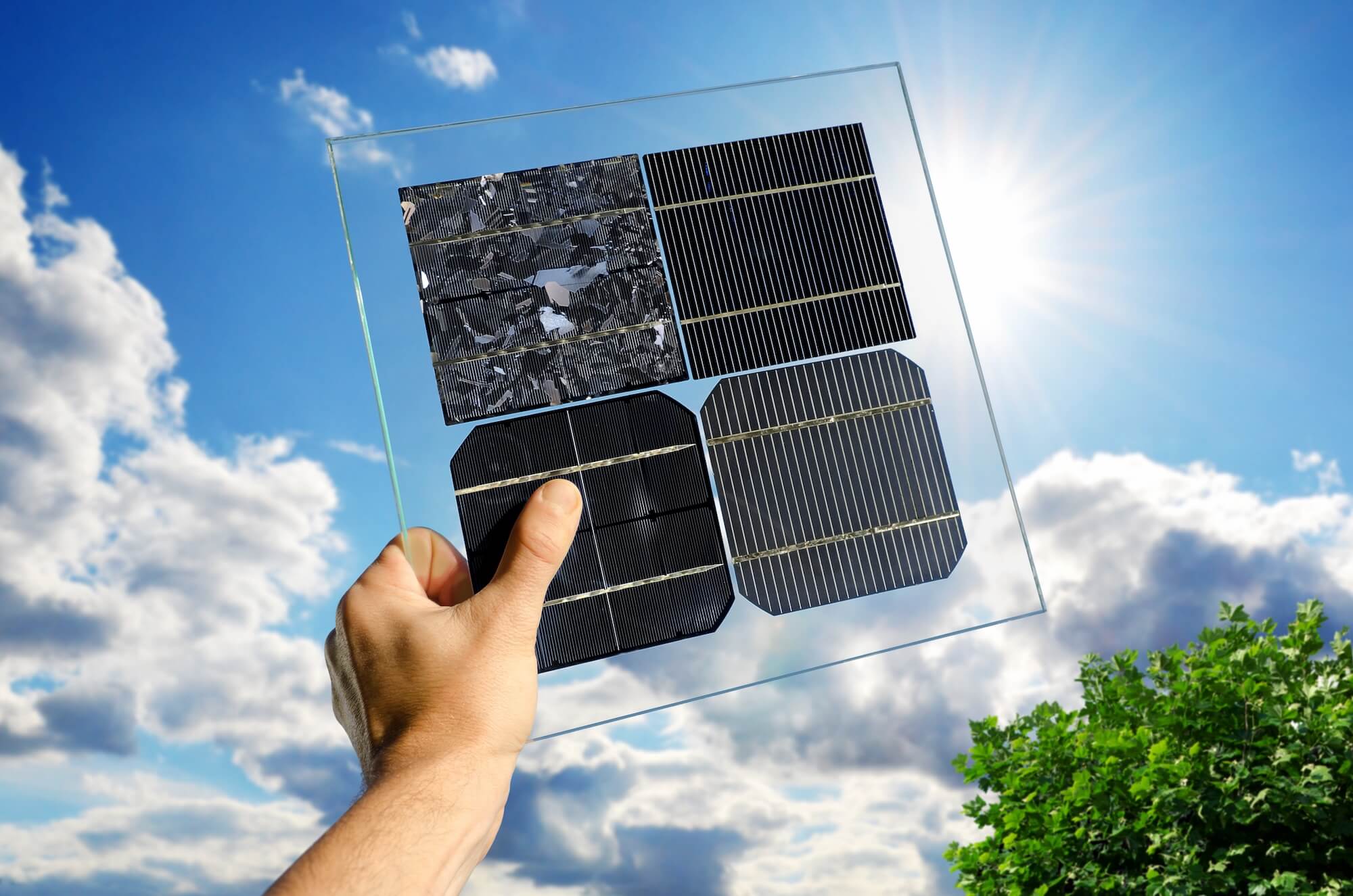 Die verschiedenen Arten von Solarmodulen im Vergleich
