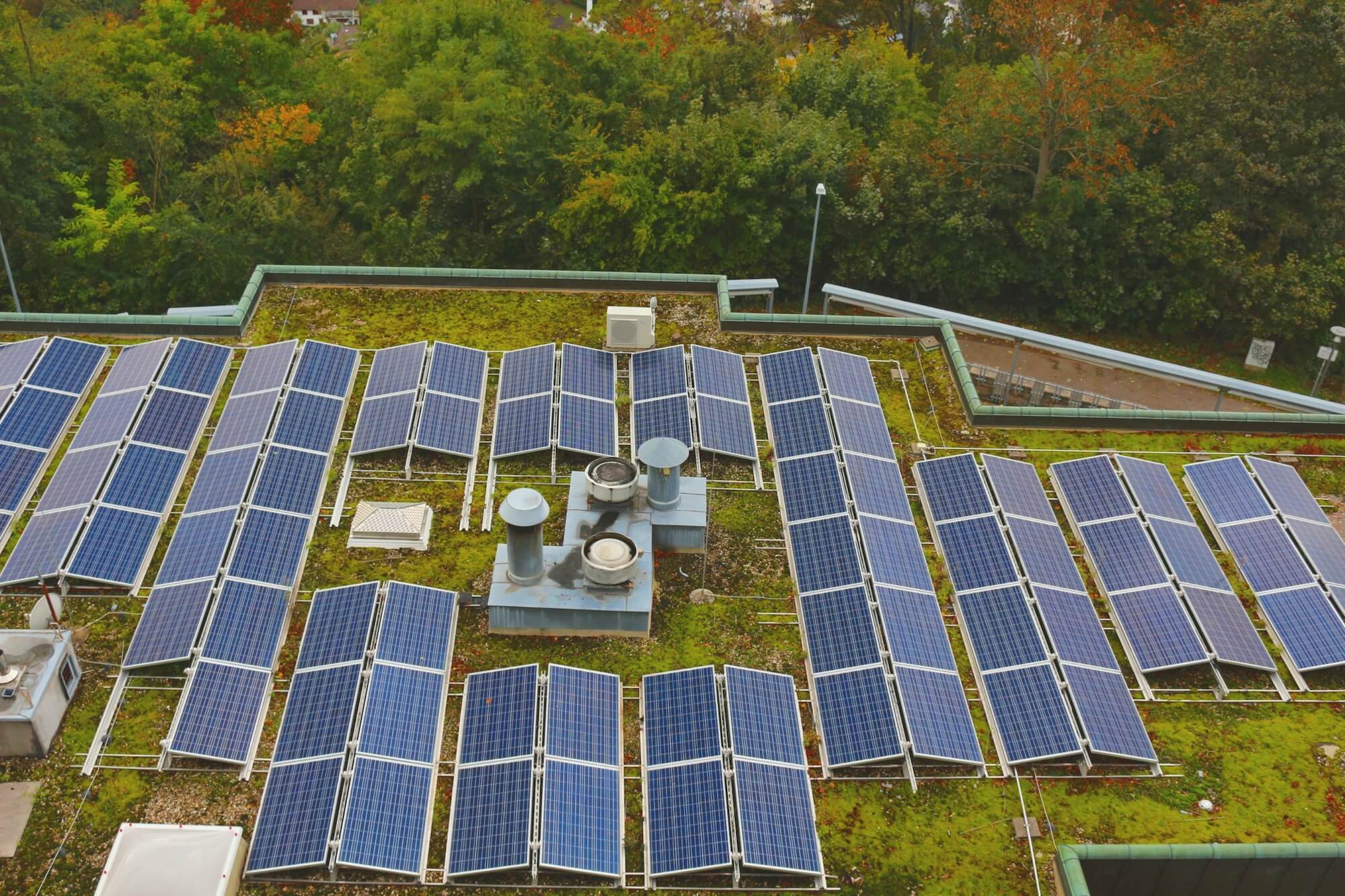 PV-Module in Ost-West-Ausrichtung auf einem begrünten Dach