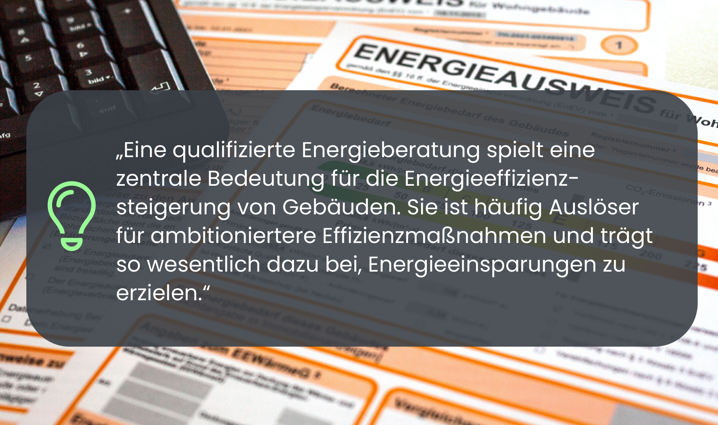 Experten-Zitat: 