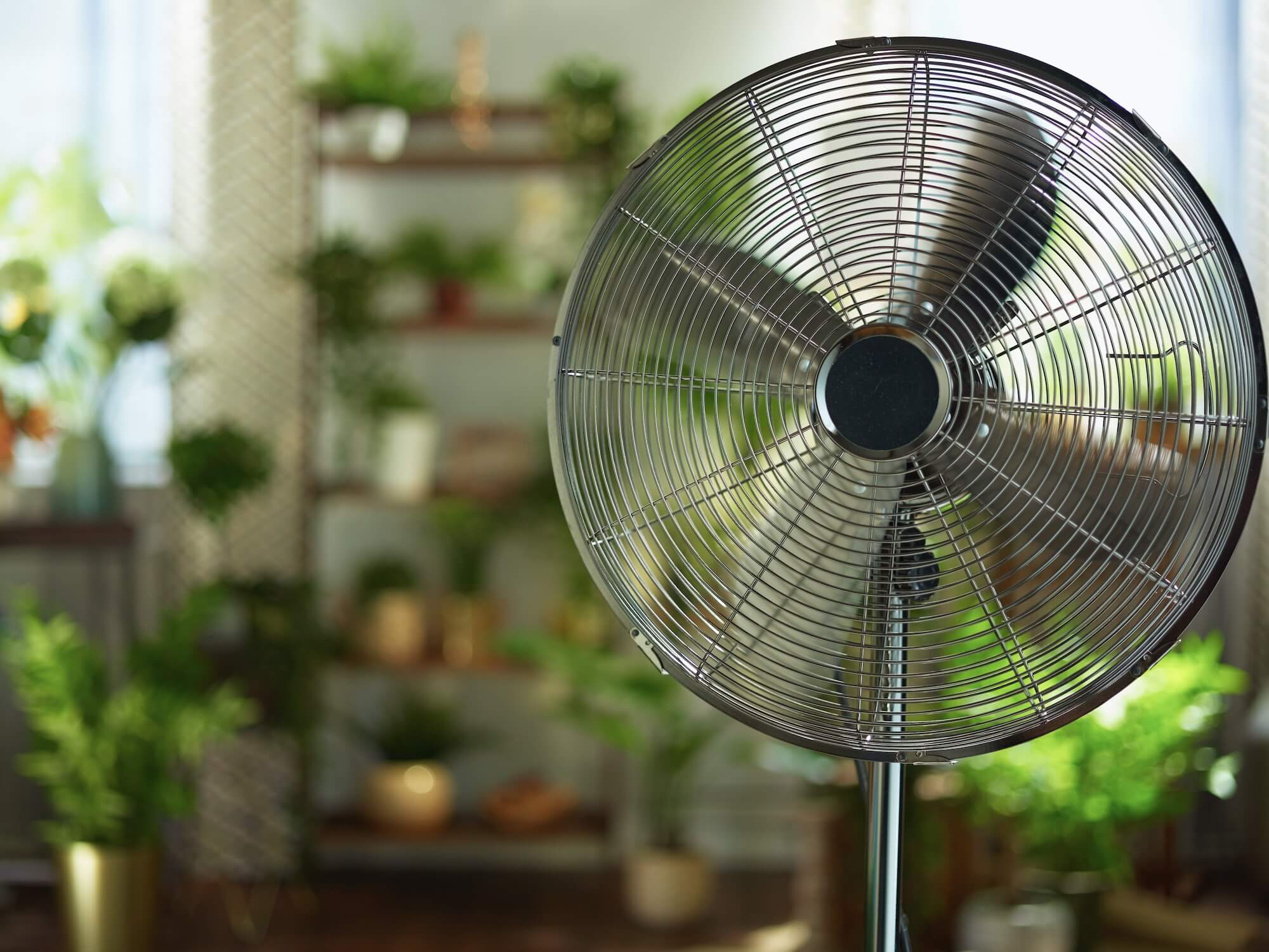 Ein Ventilator steht in einem Zimmer mit Pflanzen.