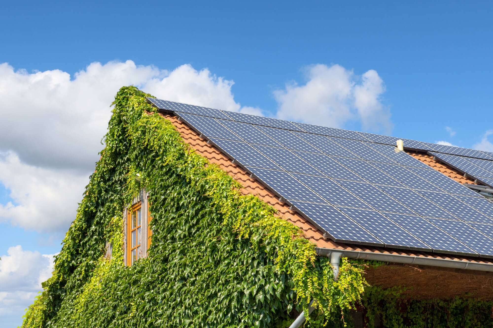 Photovoltaik-Anlage auf einem mit Efeu begrünten Haus