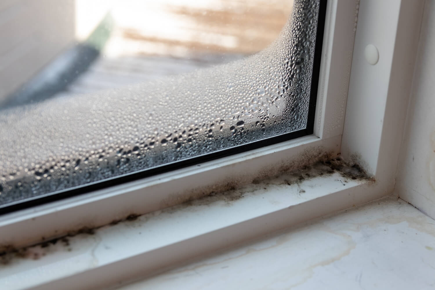 Schimmel im Haus am Fensterrahmen