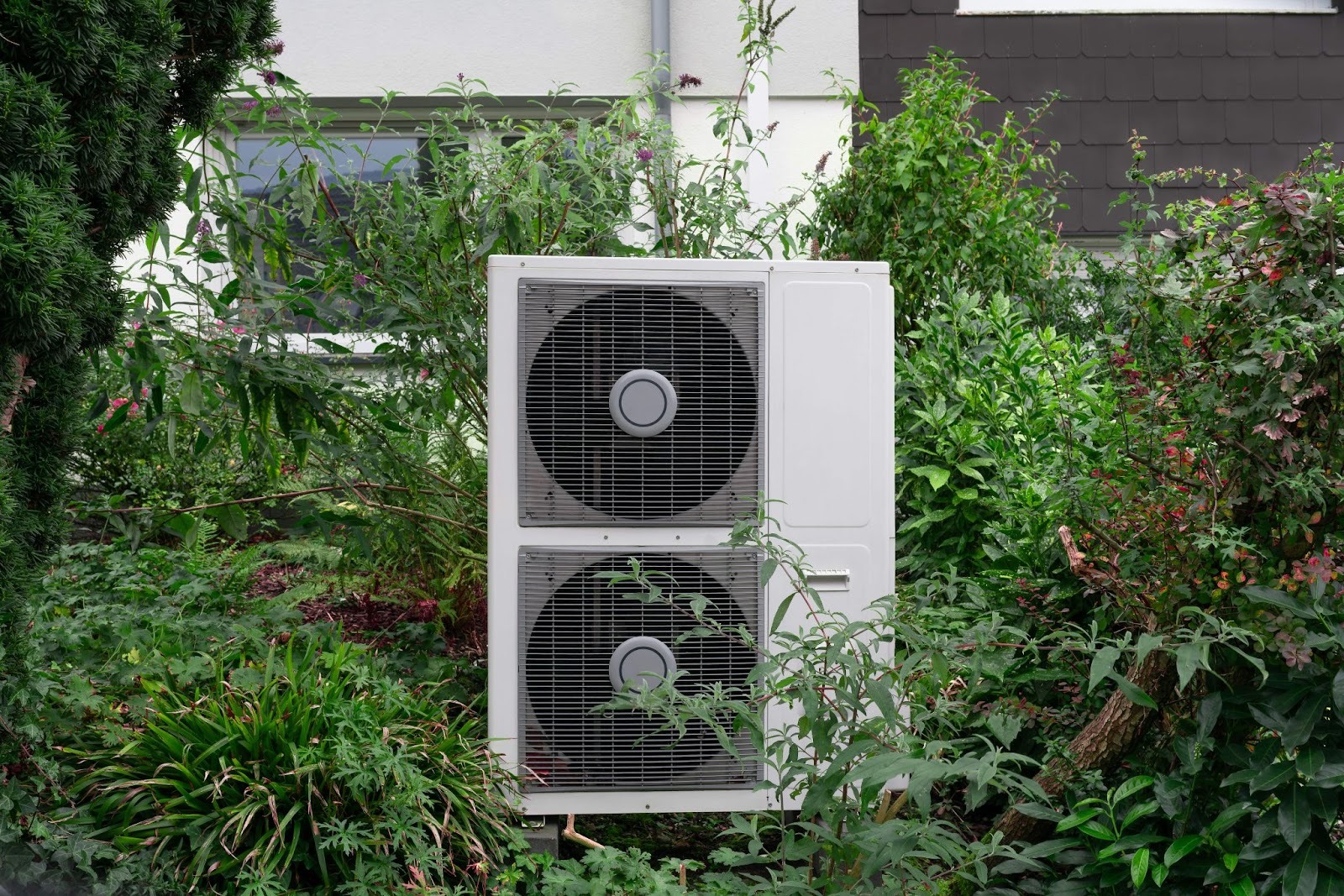 Pflanzen als Verkleidung für Wärmepumpe