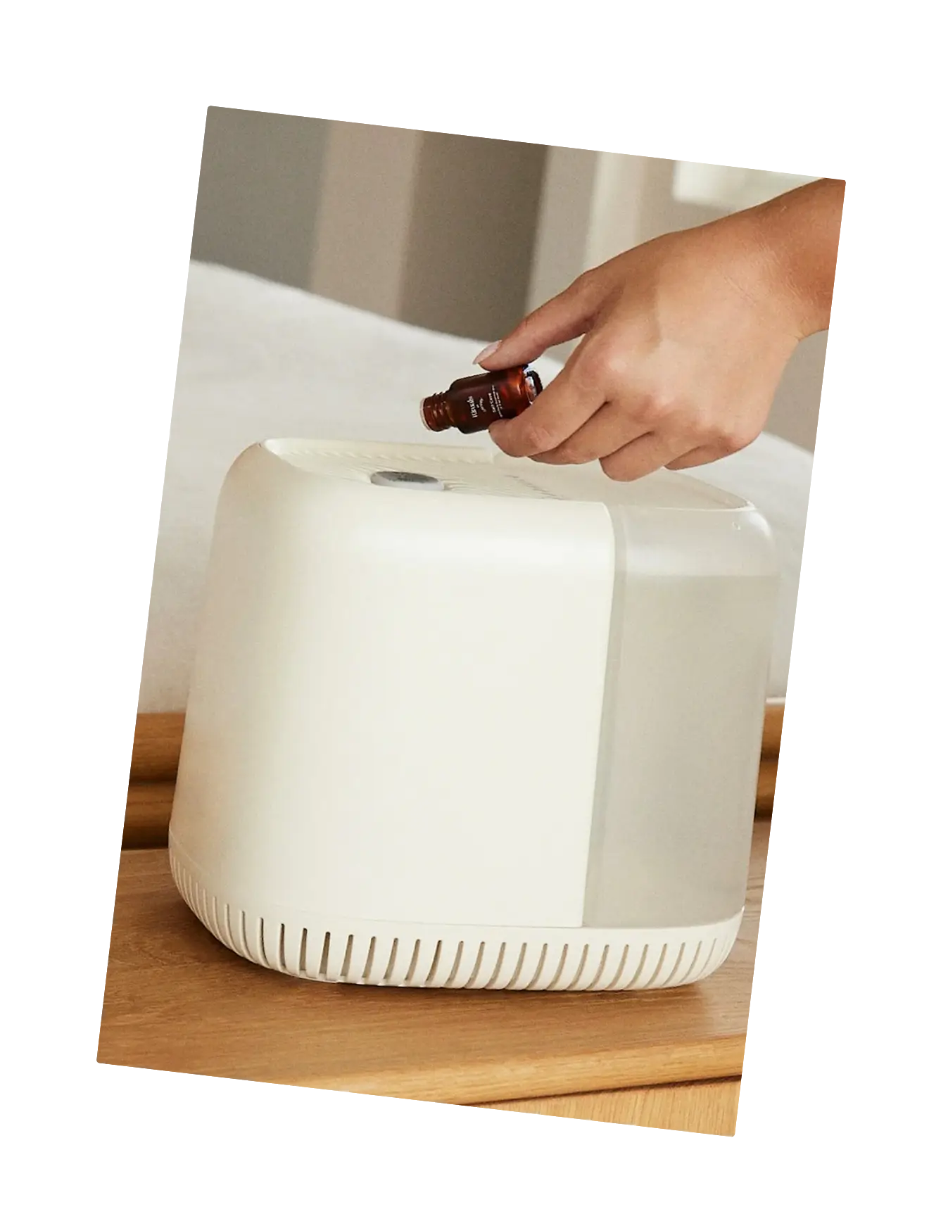 Best Home Goods Products and Brands