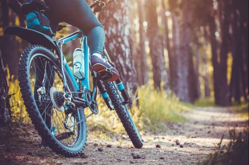 Close-up, low-angle shot of a person's legs and the rear wheel of a blue mountain bike with knobby tires on a dirt path in a sunlit forest.