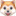 🐶